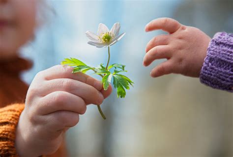 Giving the gift of giving: why children should be taught .